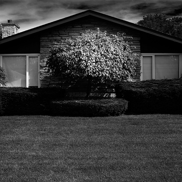 from the Perfect Lawns series