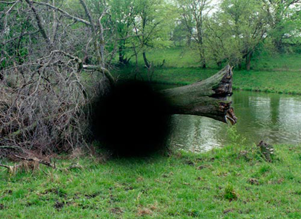 Farm Pond, from the Black Holes and Blind Spots series, 2010-ongoing