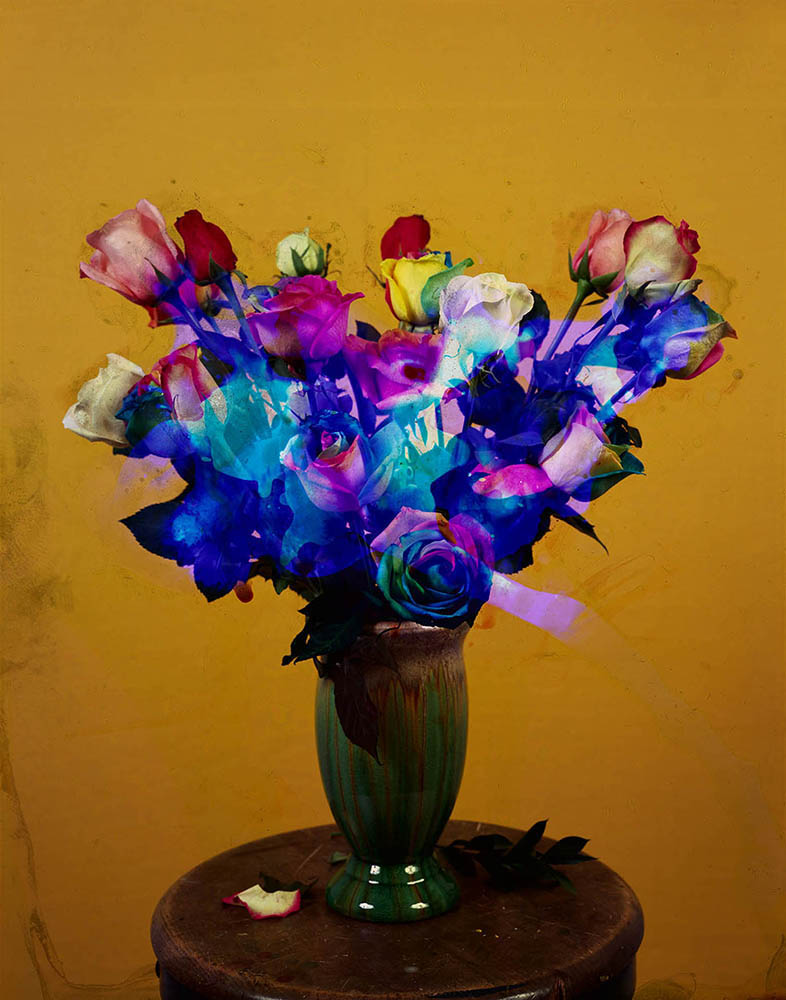 Bouquet No. 4, from the "Potpourri" series, 2012