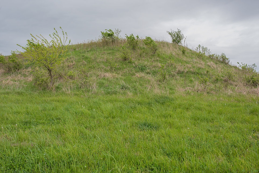 Mound [7056], 2016, from the Significant & Insignificant Mounds series (2015-ongoing)

What a city! What a population there must have been at that time on this alluvial plain.
This view is also strongly evidenced by the fact this this rich plain, which is some 75 miles
long, and 5 to 10 miles wide, is a veritable cemetery of the past, and full of evidences of
long human occupation. Relics of the stone age protrude from the banks of every creek and
ravine. In the rich fields opposite St. Louis and for miles up the Cahokia creek, we have
many times seen the market gardener literally plow through human bones. The little labor 
with which enormous crops are grown here would excite the envy of the plodding planter on 
the banks of the Nile.


-- History of Madison County 1882
