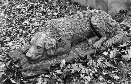 Stone Dog, Chippiannock Cemetary, Rock Island, Illinois