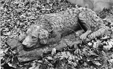 Stone Dog, Chippiannock Cemetary, Rock Island