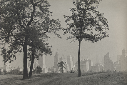 Trees and New York City Skyline, Central Park