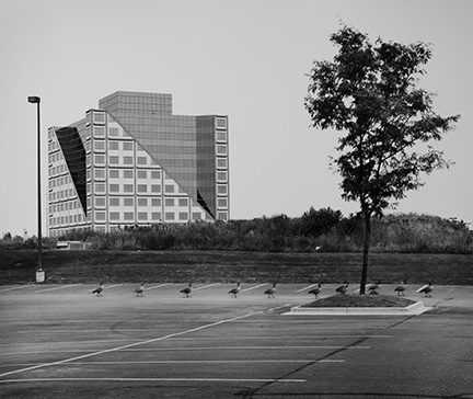 View of Metro West Building with Canadian Geese, from Changing Chicago