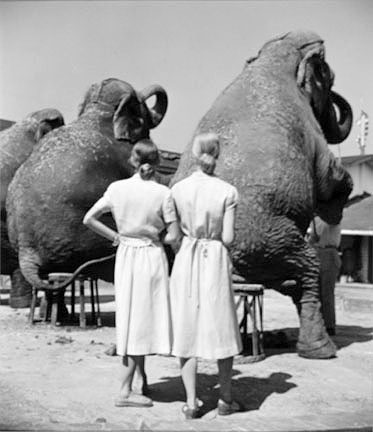 Twins with Elephants