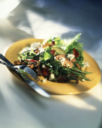 Blackhawk Lodge Duck and Gorgonzola Salad; Client: Wisconsin Milk Marketing Board