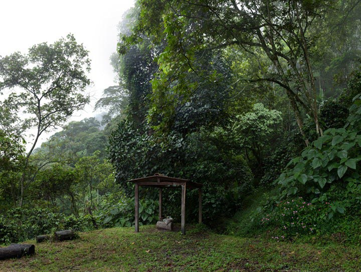 Vernacular Architecture for Coffee Harvest, Hacienda San Pascual, Antioquia - southwest