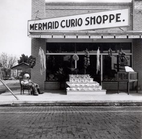 [Mermaid Curio Shoppe, Florida]