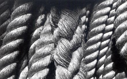 Untitled (detail of heavy rope)