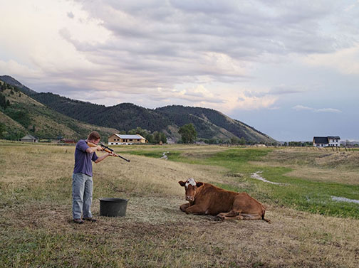Adam Killing a Cow, Mortensen Family Farm, Afton, Wyoming