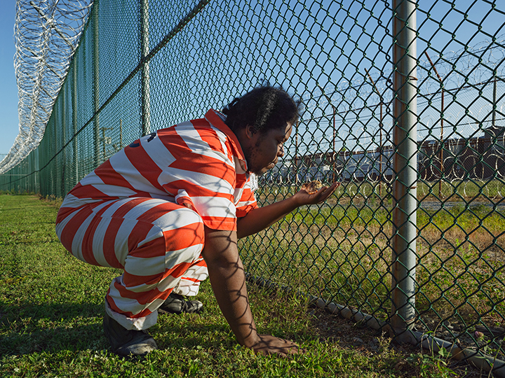 Troy Holding a Guinea Fowl Chick, Greenhouse Program, Rikers Island Jail Complex, New York, from the 