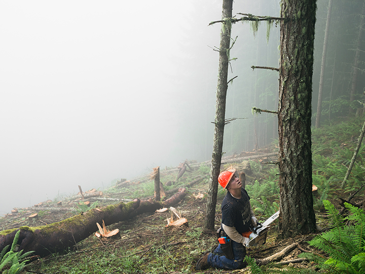 Nate Clearcutting a Forest Planted 60 Years Earlier, Oregon, from the 