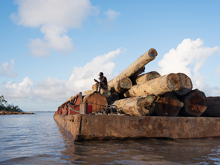 Kurt Guarding Logs for Export to China, Essequibo River, Guyana, from the 