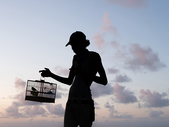 Ray with a Caged Bird on the Sea Wall in Georgetown, Guyana, from the 