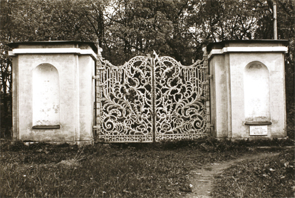 Untitled (iron gate in woods)