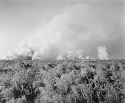 Marsh Fire, Bolivar Peninsula, Texas