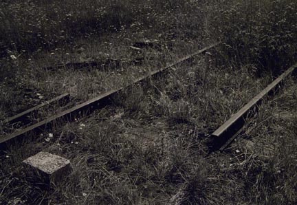 Switch Track (Auschwitz to Birkenau)