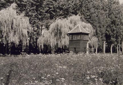 Willows and Guardhouse, Crematorium #3, Birkenau