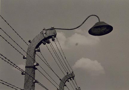 Gooseneck Lamp, Birkenau