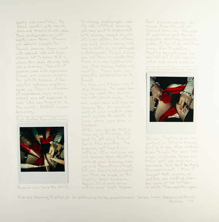 Polaroid Drawing Triptych; In Deference to the Practitioners: Krims, Locks, Samaras and Sicilia, from 