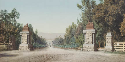 Main Entrance and Driveway, LeLand Stanford Junior University