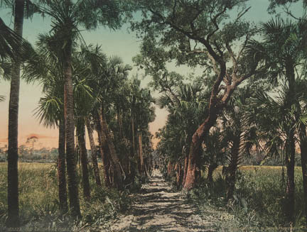 Old Causeway Near Ormond, Florida