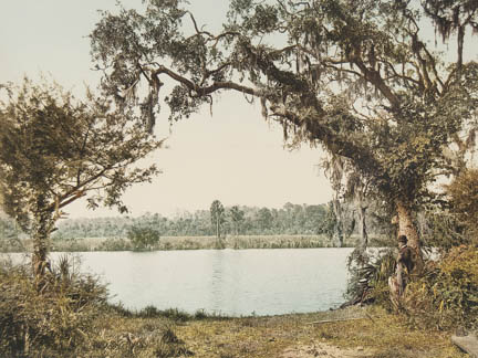 Florida, Tomoka River, The King's Ferry