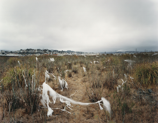 Untitled (#18 white plastic tarp landscape)