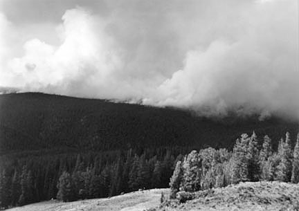Forest Fire, Yellowstone #2, August