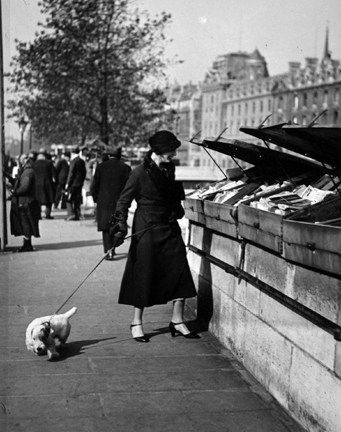 Paris (walking dog along book stalls)