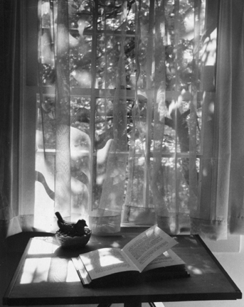 Newtown, Conn. (window curtains and open book)