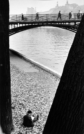 Pont des Arts, Paris (man reading between trees)