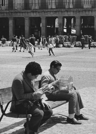 Madrid (man reading and young man with birdcage)
