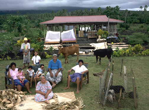 The Lagavale Family, Poutasi, Western Samoa, 5:00 p.m., October 8, 1993