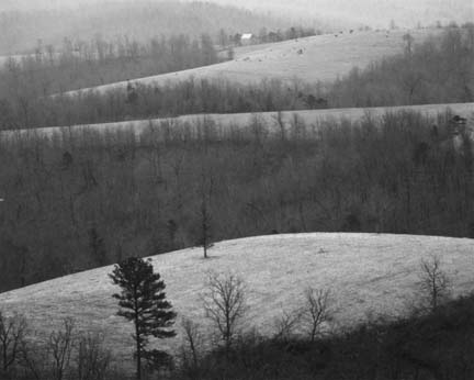 Rolling Hills and Frost, from the Ozark portfolio