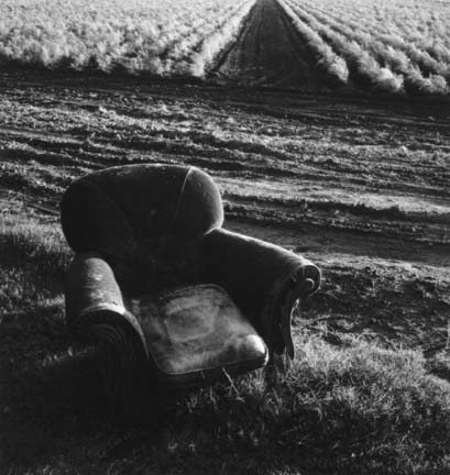 Chair and Asparagus Field, from the Delta portfolio