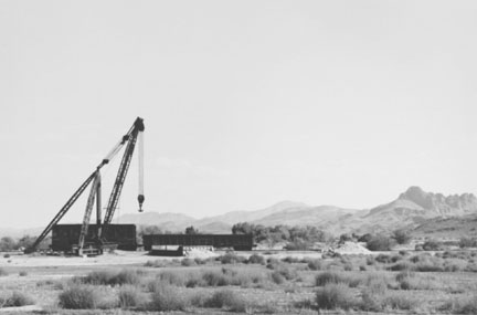Crane in Desert Near Tucson, Arizona