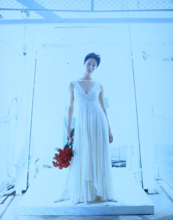 Alberta Ferretti Dress With Roses