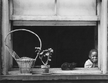 Child, Basket and Cat in Window