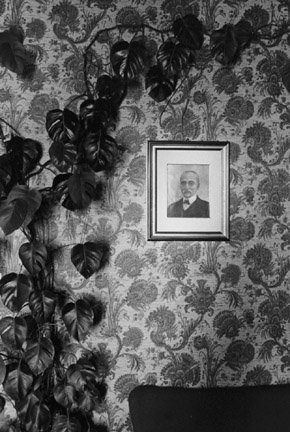 Climbing Plant and Portrait, Assisi, from the 