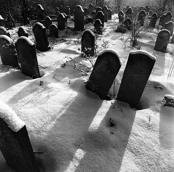 Chernovitsy (snowy sunlit gravestones)
