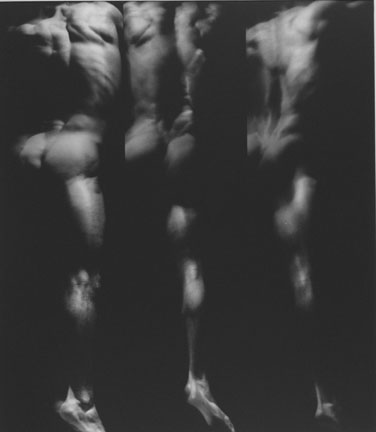 Three Studies from the Human Body in Movement, 19 December 1989, Chicago Studio