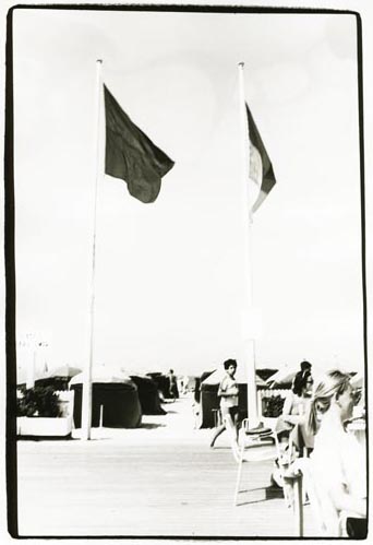 Flag Poles at the Beach