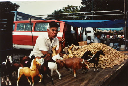 Seller With Horses and Peanuts, from Changing Chicago
