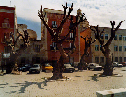 Trapani Architecture, Trees