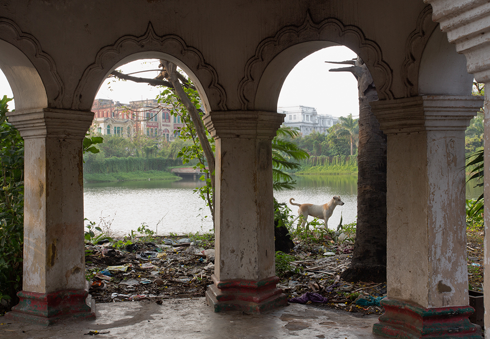 Arches, The Maidan, Calcutta, 2012